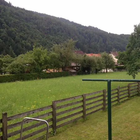 Ferienhaus Am Millstattersee Holiday home Dobriach